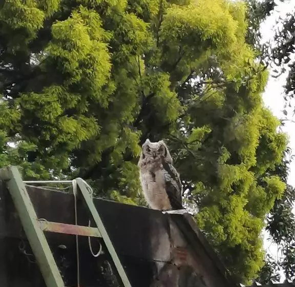 Aamiaismajoitus (B&B) Bell Park Self Catering