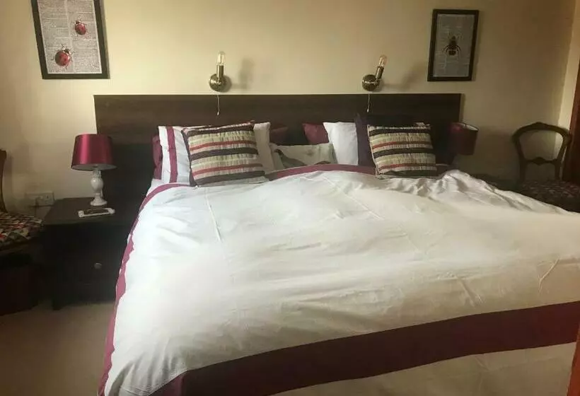 ベッドアンドブレックファースト Carents House