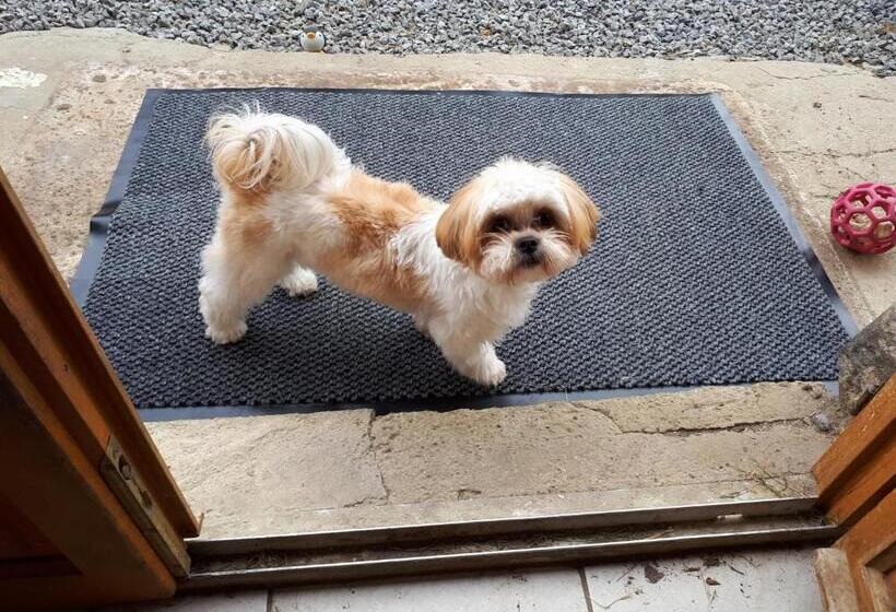 민박 Chambres D Hôtes Chez Barbara