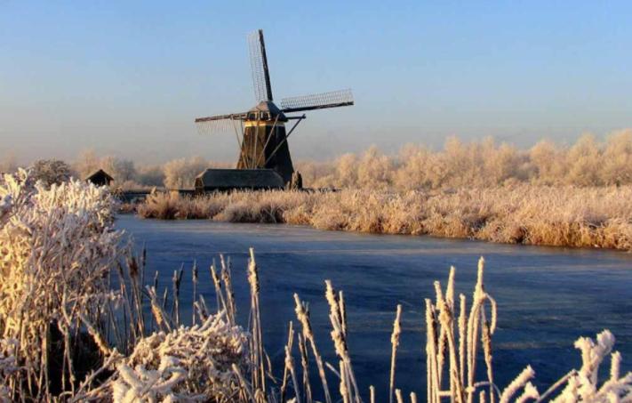 Bed and Breakfast De Strandgaper