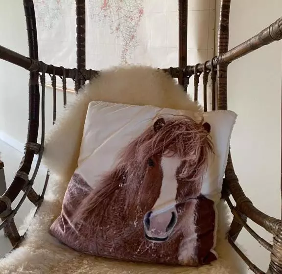 Aamiaismajoitus (B&B) Slapen Bij Uppruna