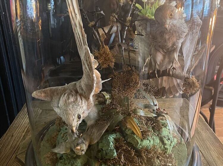 Aamiaismajoitus (B&B) The Twenty One