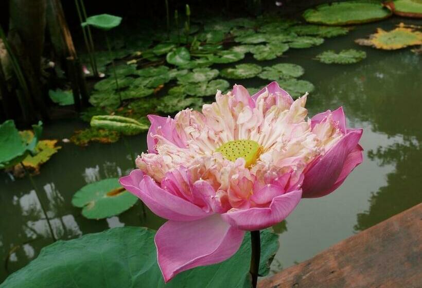 Hôtel Gajib Bed&breakfast