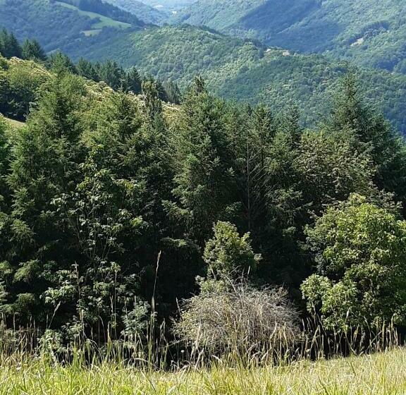 بنسيون Chez Claire