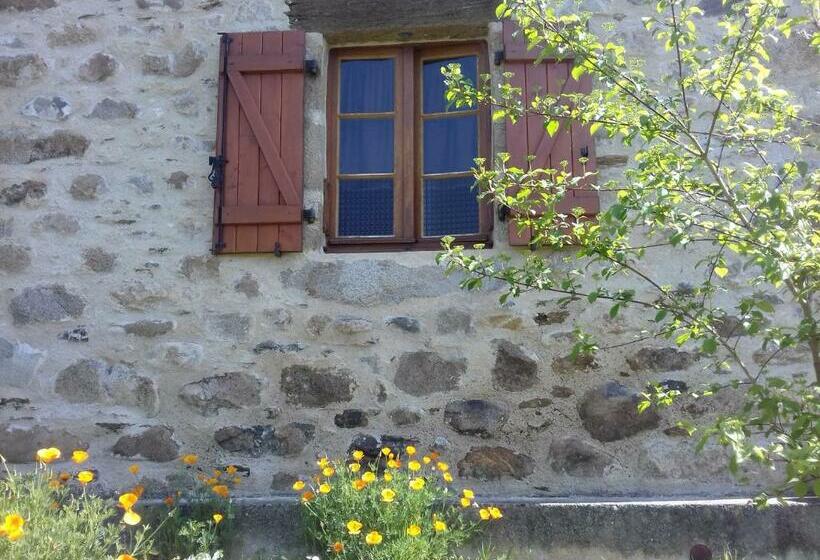 بنسيون Chez Claire