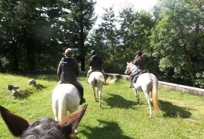 بنسيون Chez Claire