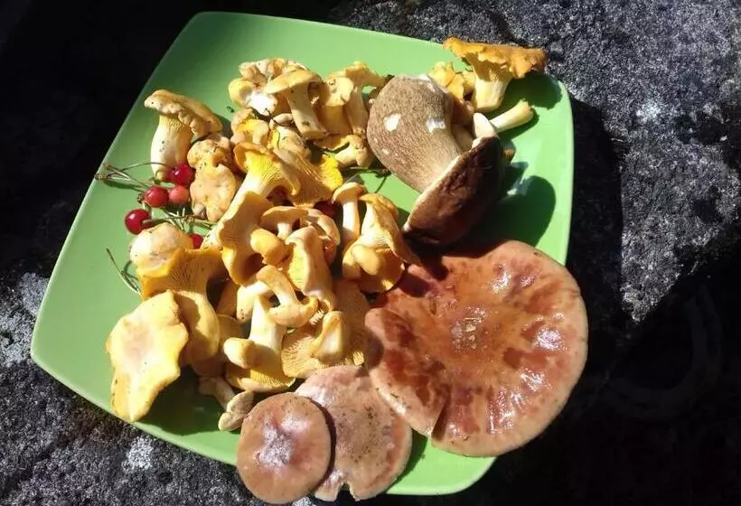 Majatalo Chez Claire