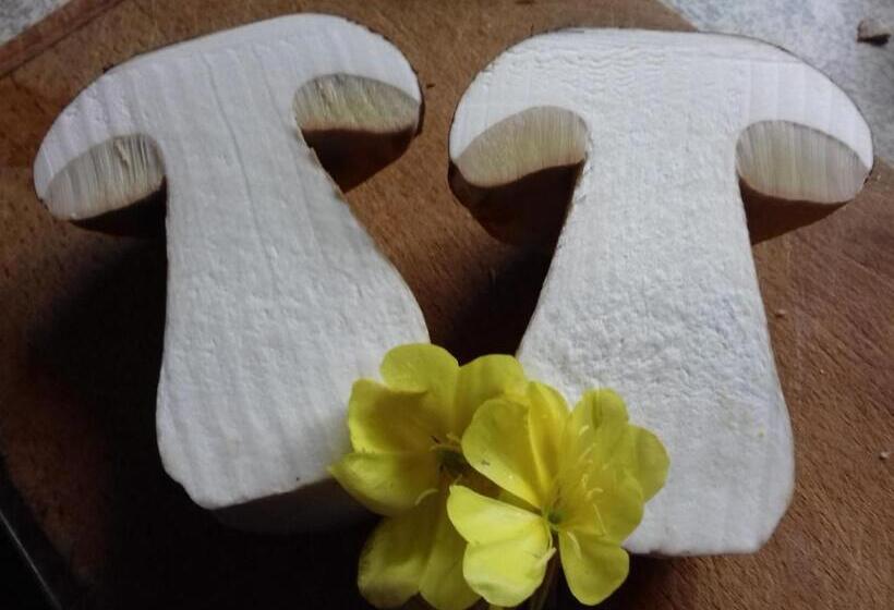 بنسيون Chez Claire