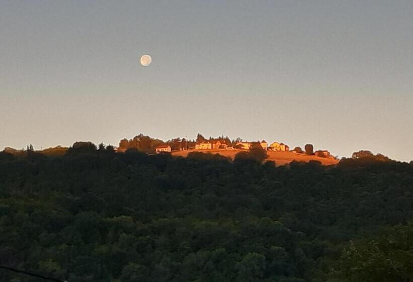 بنسيون Chez Claire