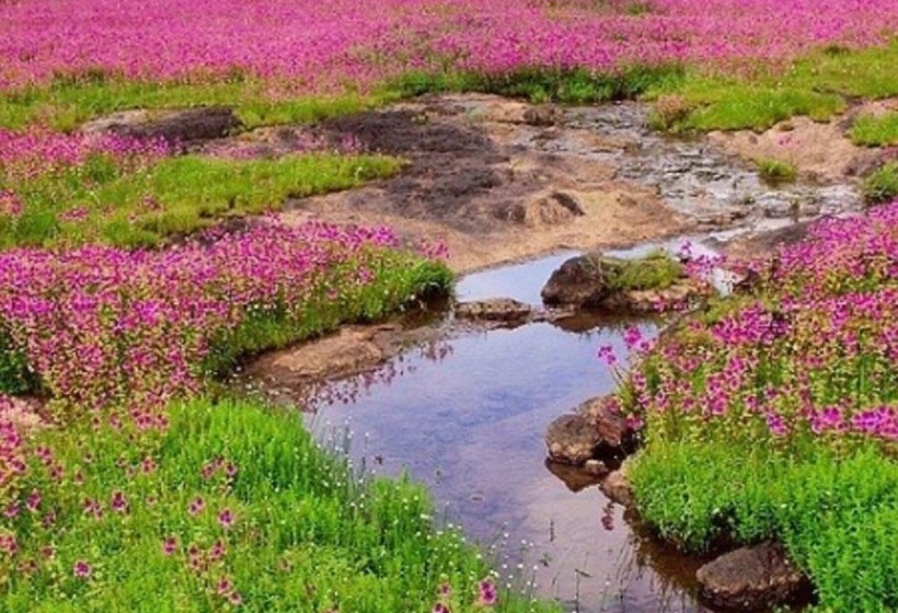 هتل Crowne Plaza Pune City Centre, An Ihg