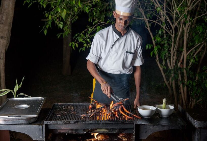 ホテル Elephant Reach