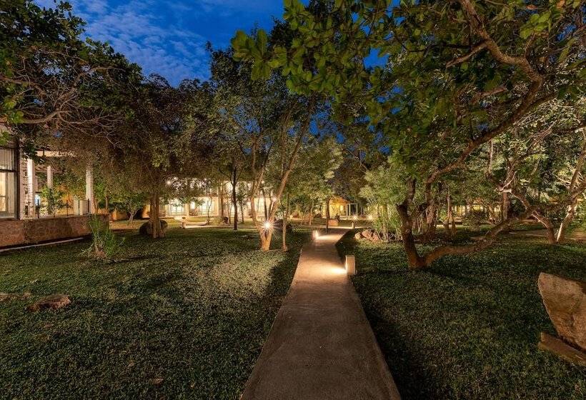 ホテル Elephant Reach