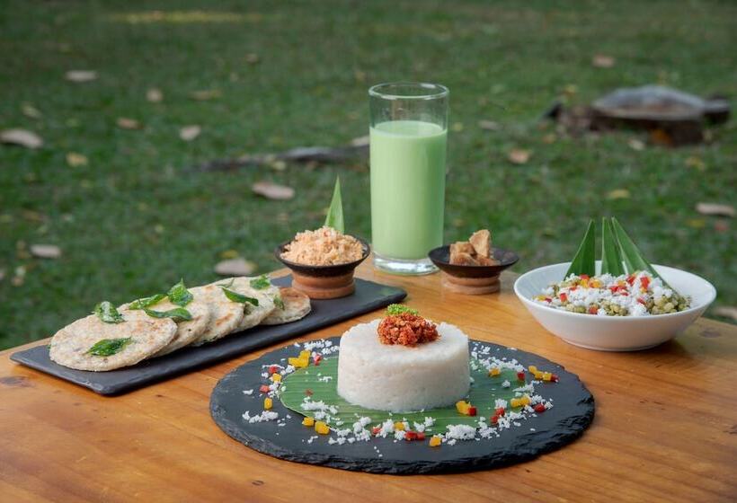 ホテル Elephant Reach