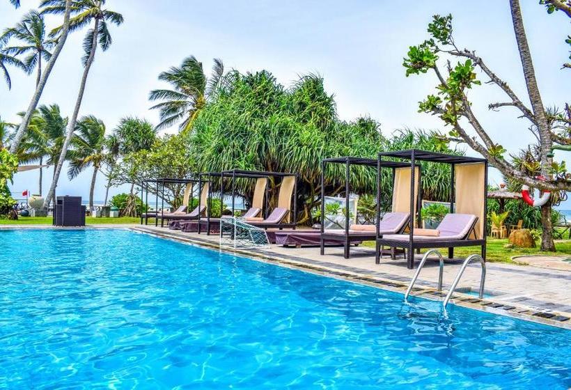 فندق Insight Resort Ahangama   S&s Other Certified