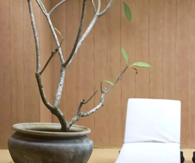 هتل Jetwing Beach