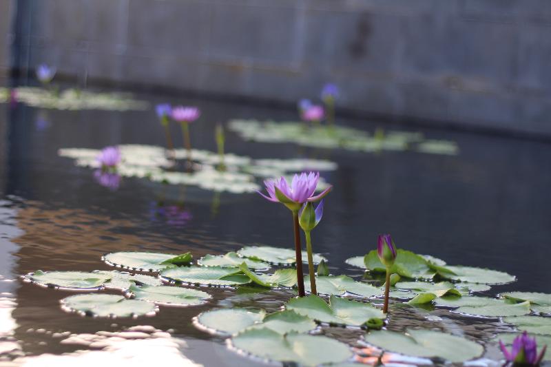 هتل Pullman Danang Beach Resort