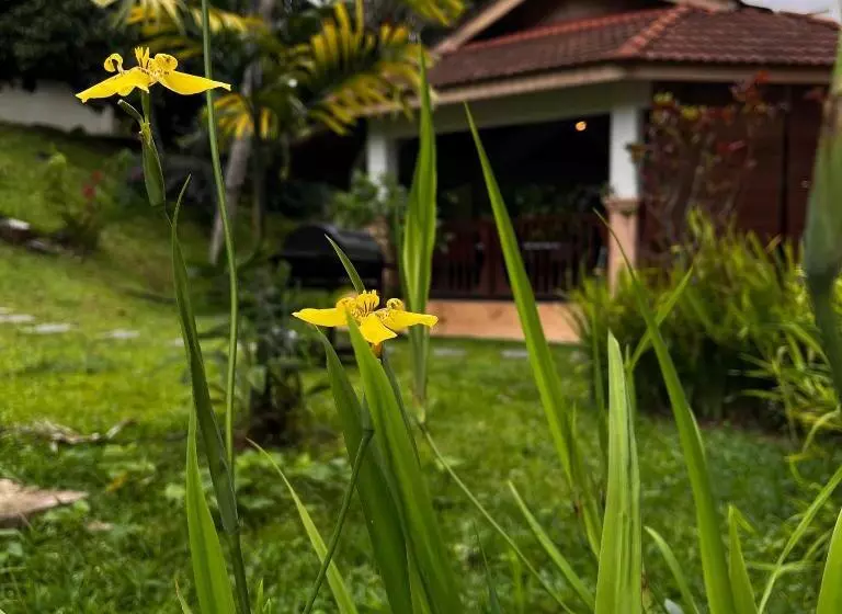 ホテル ērya By Suria Janda Baik