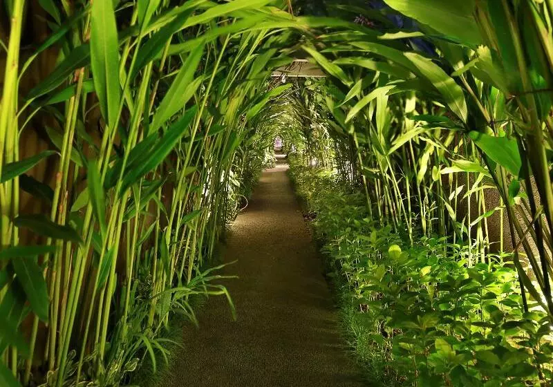 فندق Ziva A Boutique Villa