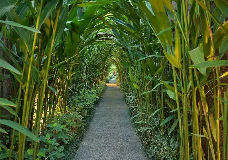 فندق Ziva A Boutique Villa