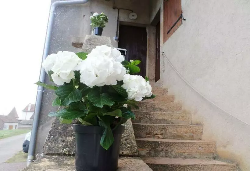 Aamiaismajoitus (B&B) Les Marronniers