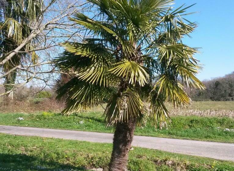 住宿加早餐 Ranch Bignaou