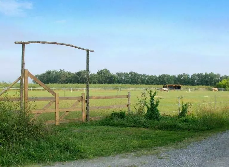 ベッドアンドブレックファースト Ranch Bignaou