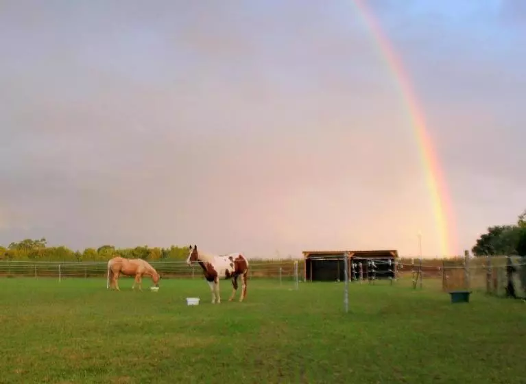 ベッドアンドブレックファースト Ranch Bignaou