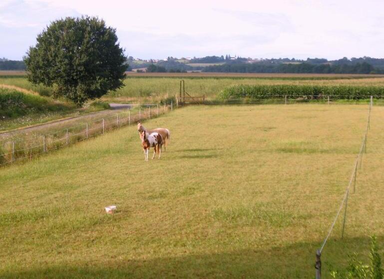 住宿加早餐 Ranch Bignaou