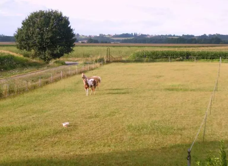 ベッドアンドブレックファースト Ranch Bignaou