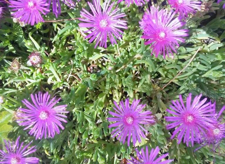 住宿加早餐 Ranch Bignaou