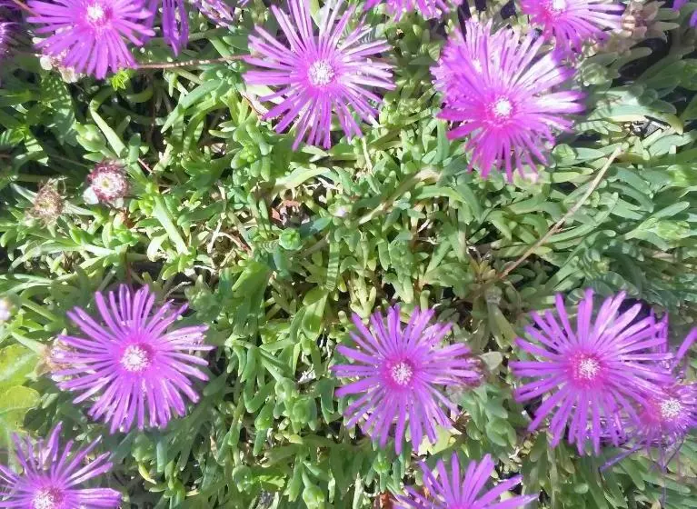 ベッドアンドブレックファースト Ranch Bignaou