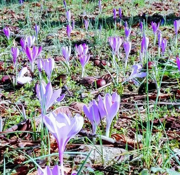 La Torretta Bed & Breakfast