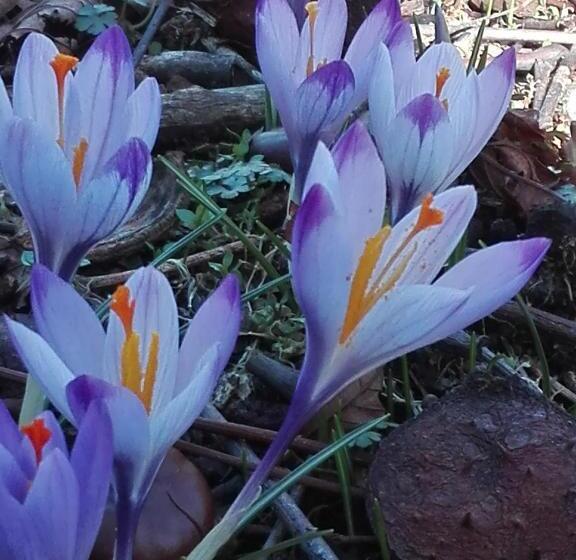 La Torretta Bed & Breakfast