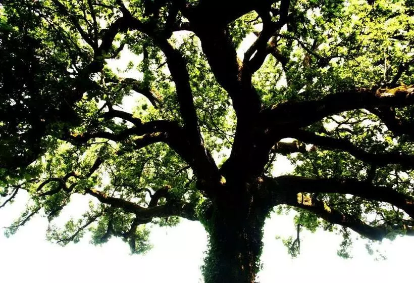Majatalo La Quercia Di Aorivola