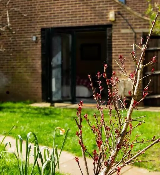 Majatalo The Studio Hatfield