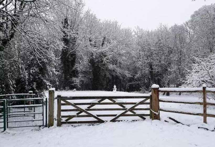 Majatalo The Studio Hatfield