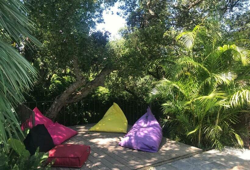 ベッドアンドブレックファースト La Dulcinea