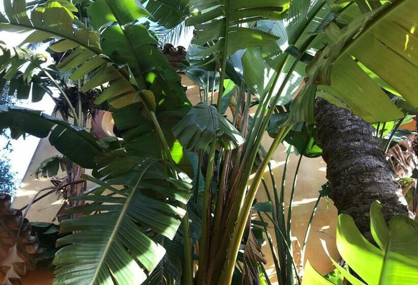 ベッドアンドブレックファースト La Dulcinea