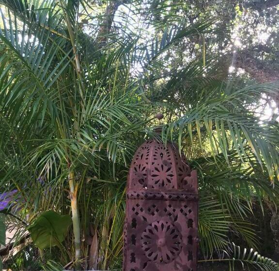 ベッドアンドブレックファースト La Dulcinea