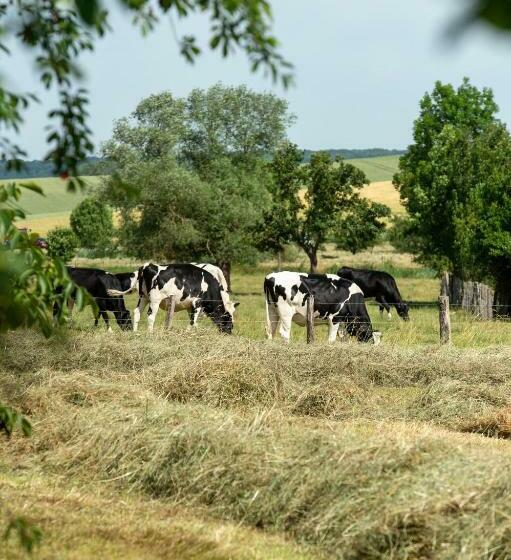 צימר La Grange Aux Hirondelles
