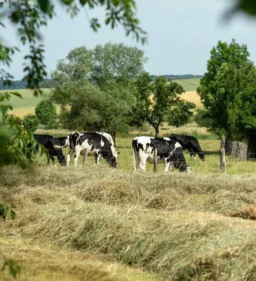 Aamiaismajoitus (B&B) La Grange Aux Hirondelles
