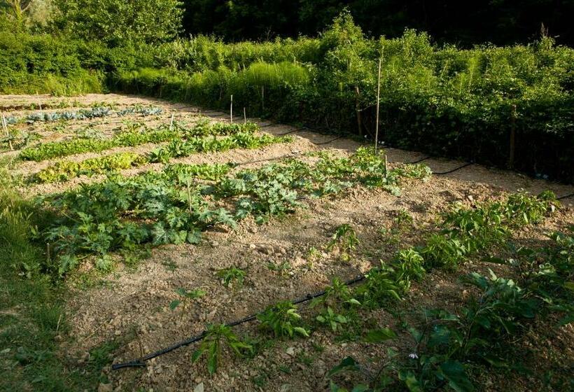 בית מלון כפרי Antico Giuncheto