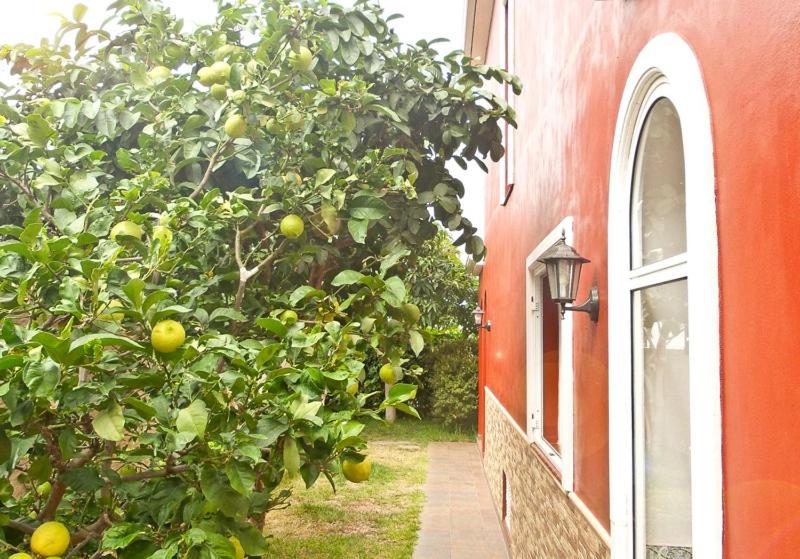 پانسیون Casa Buganvilla