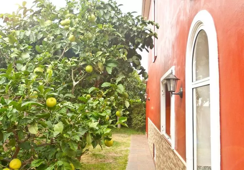 ペンション Casa Buganvilla