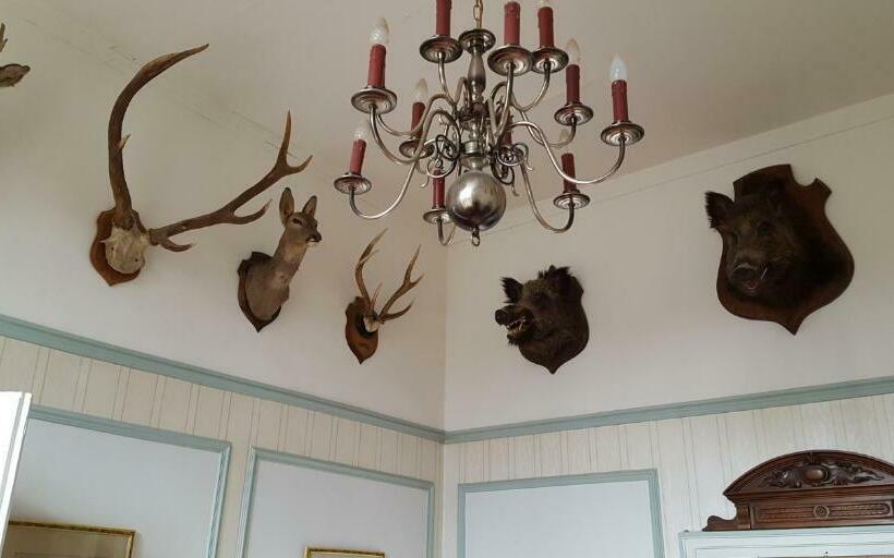 פנסיון Château Rouillon D Allest