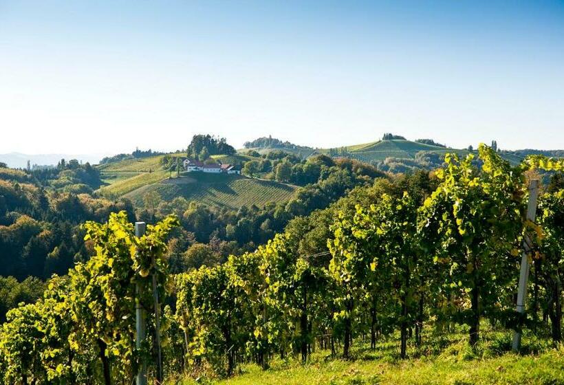 פנסיון Gästezimmer & Buschenschank Mit Weingut Hack Gebell