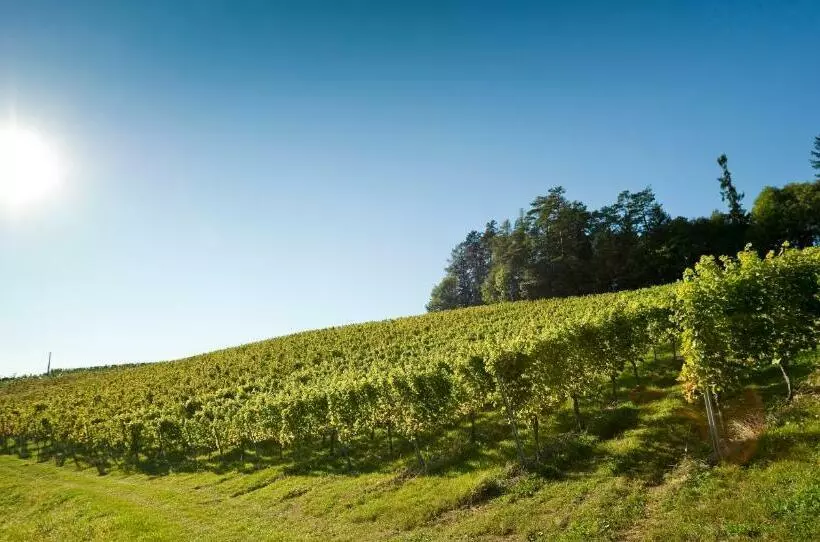 ペンション Gästezimmer & Buschenschank Mit Weingut Hack Gebell