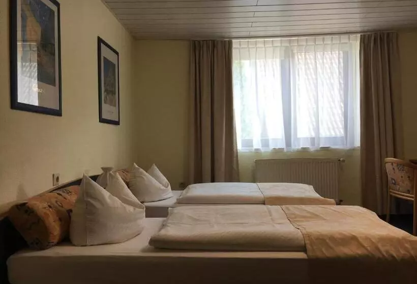 Altes Gasthaus Leuna Pension