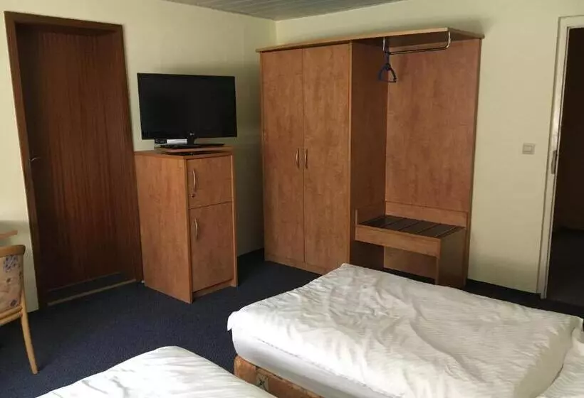 Altes Gasthaus Leuna Pension