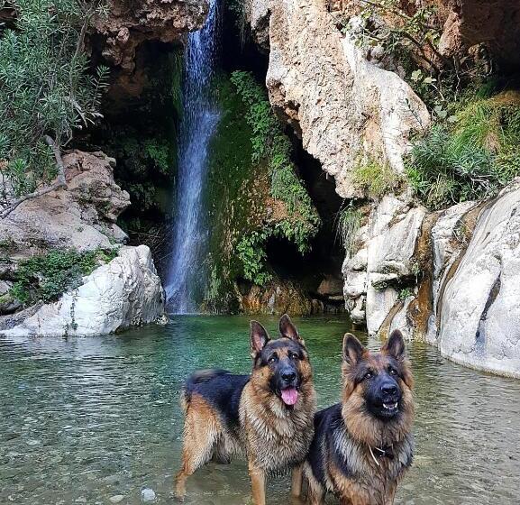 Пансион Casa De Jasper